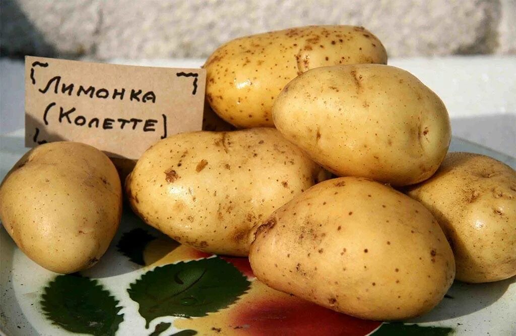 Лимонный картофель с луком - пошаговый рецепт приготовления с фотографиями