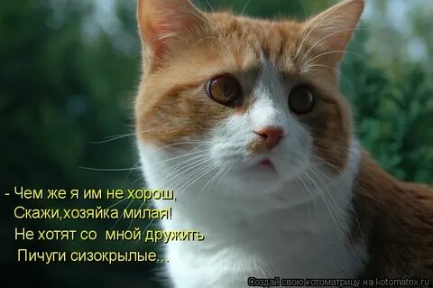 Не лучше расскажи
