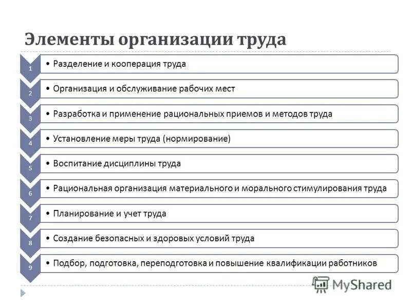 Курсовая организация труда предприятии