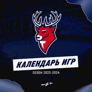 Календарь игр хк торпедо нижний новгород
