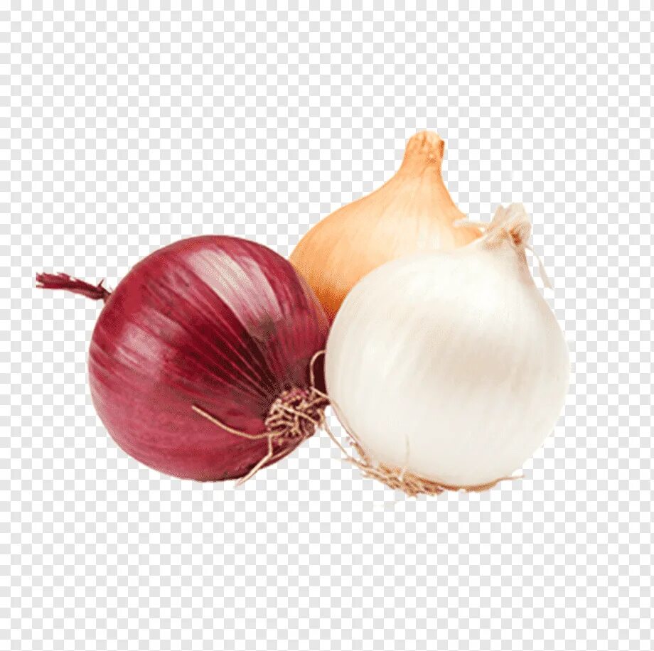 Onion vegetables. Лук-севок ред Барон. Лук севок белый. Лук севок Кармен. Лук Онионс.