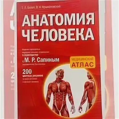 Атлас анатомия человека том 1 билич