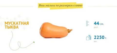Сколько будет 34 неделя беременности