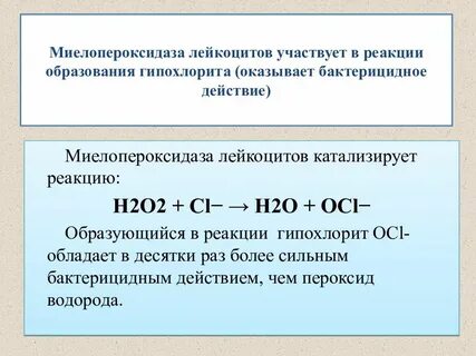 Полость реакция