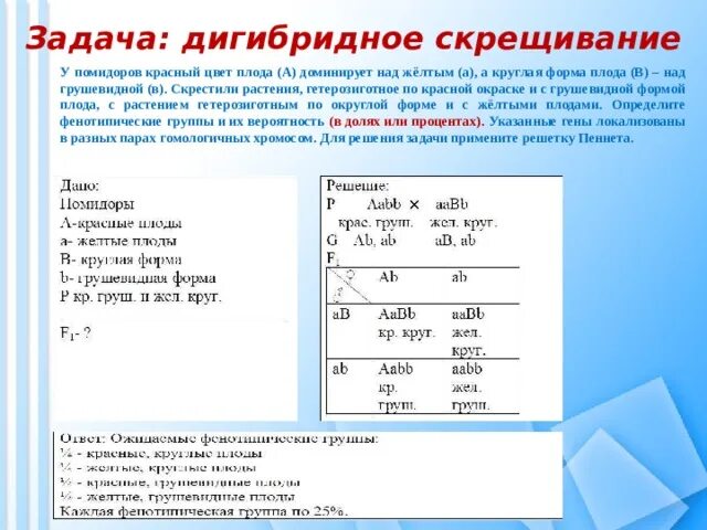 Решение задач по генетике дигибридное скрещивание с решением. Задачи по генетике на дигибридное скрещивание 10 класс с решением. Задачи по генетике на дигибридное скрещивание 11 класс. Типы задач на дигибридное скрещивание.