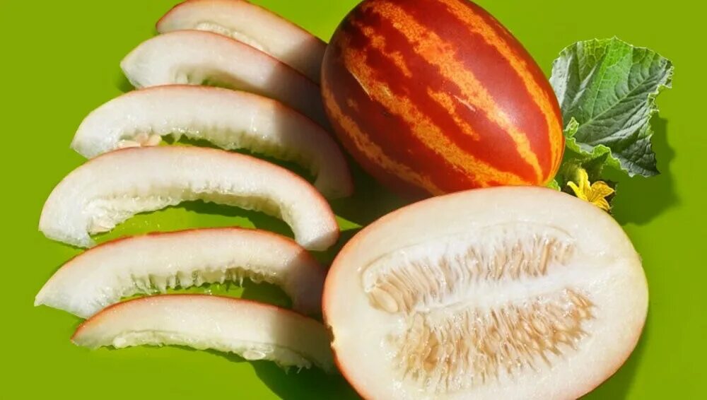 Вьетнамская дыня семена. Мини дыня вьетнамская. Вьетнамская мини дыня дынька. Сорт “ананас американо” дыня. Вьетнамская дыня.