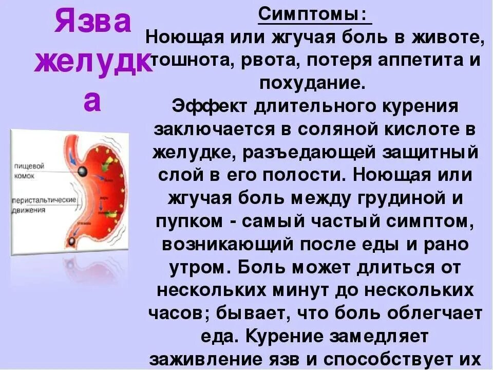 Тянет живот после еды