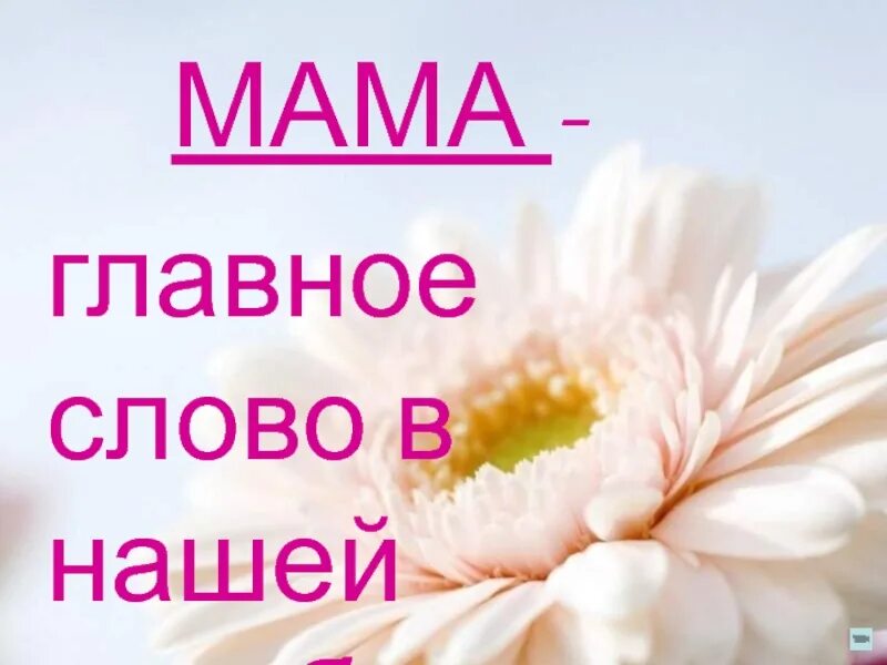 Самое главное слова. Мама главное слово. Мама главное слово слова. Мама - главное слово, важное слово. Мама главное слово в каждой судьбе.