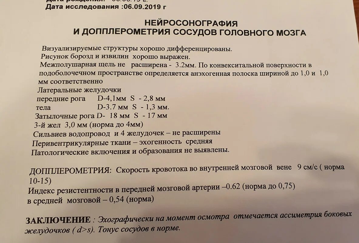 Протокол УЗИ головного мозга у новорожденного. УЗИ головного мозга в 7 месяцев норма. УЗИ НСГ У новорожденных норма. Ультразвуковое исследование головного мозга - нейросонография (НСГ).