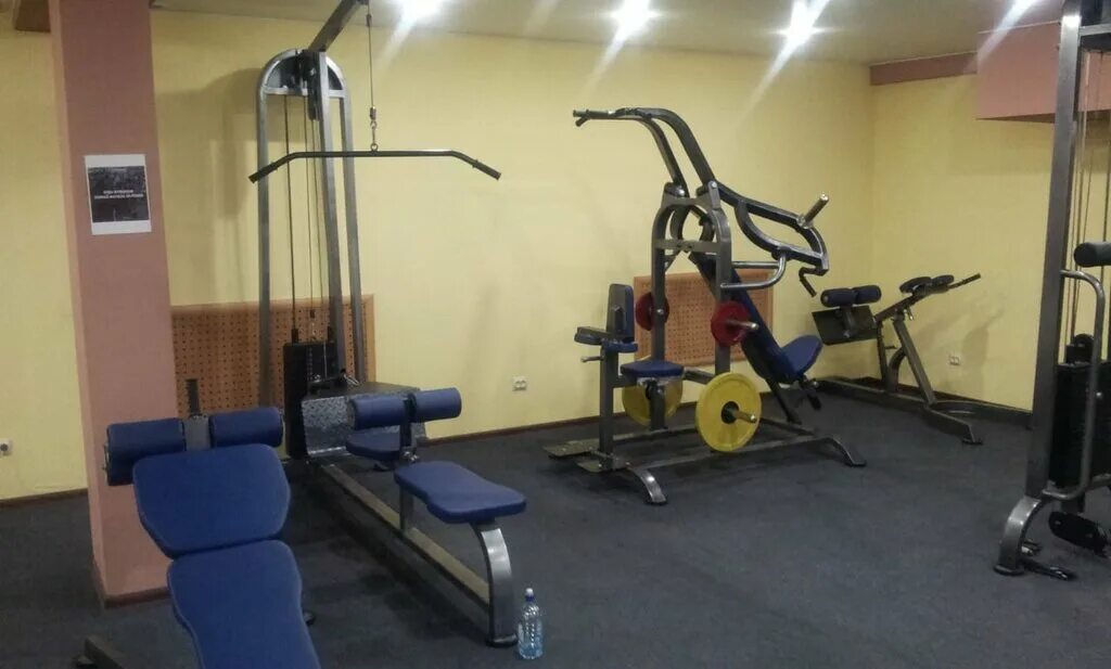 Физика в балашихе на фадеева. Тренажерные залы балашиха. Тренажерный зал стальной медведь боброво. Фитнес клуб фабрика. Фабрика фитнеса балашиха.