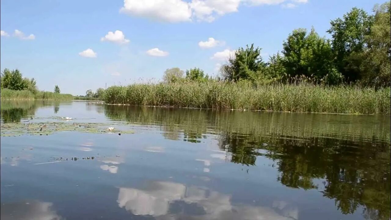 Погода в нижнем икорце. Икорец река Воронежская. Река Нижний Икорец Воронежская. Река Икорец Лискинский район. Верхний Икорец река.