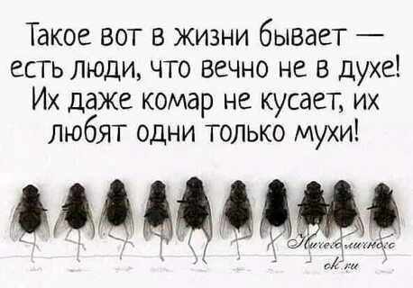 Быть не в духе это как