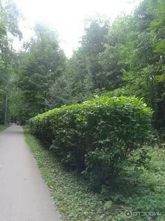 Щукинский парк москва 3 й щукинский проезд