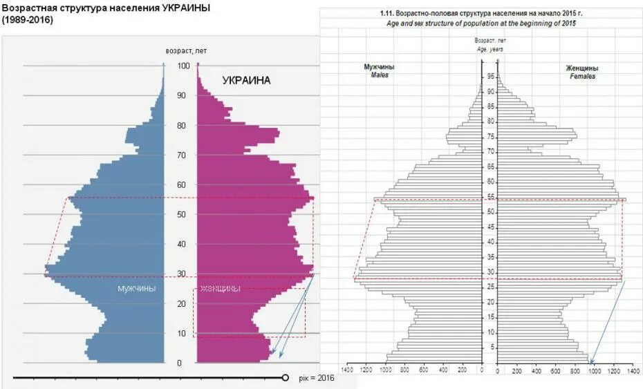 Состав украинского населения. Структура населения Украины по возрасту. Демографическая пирамида Украины 2022. Половозрастная структура населения Украины. Половозрастная пирамида Украины.