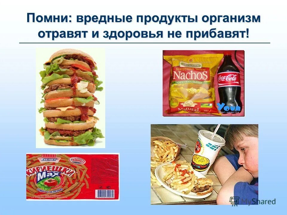 Чем нас травят. Опасные вещества и продукты питания. Загрязнение пищевых продуктов. Продукты травят. Как нас травят едой.