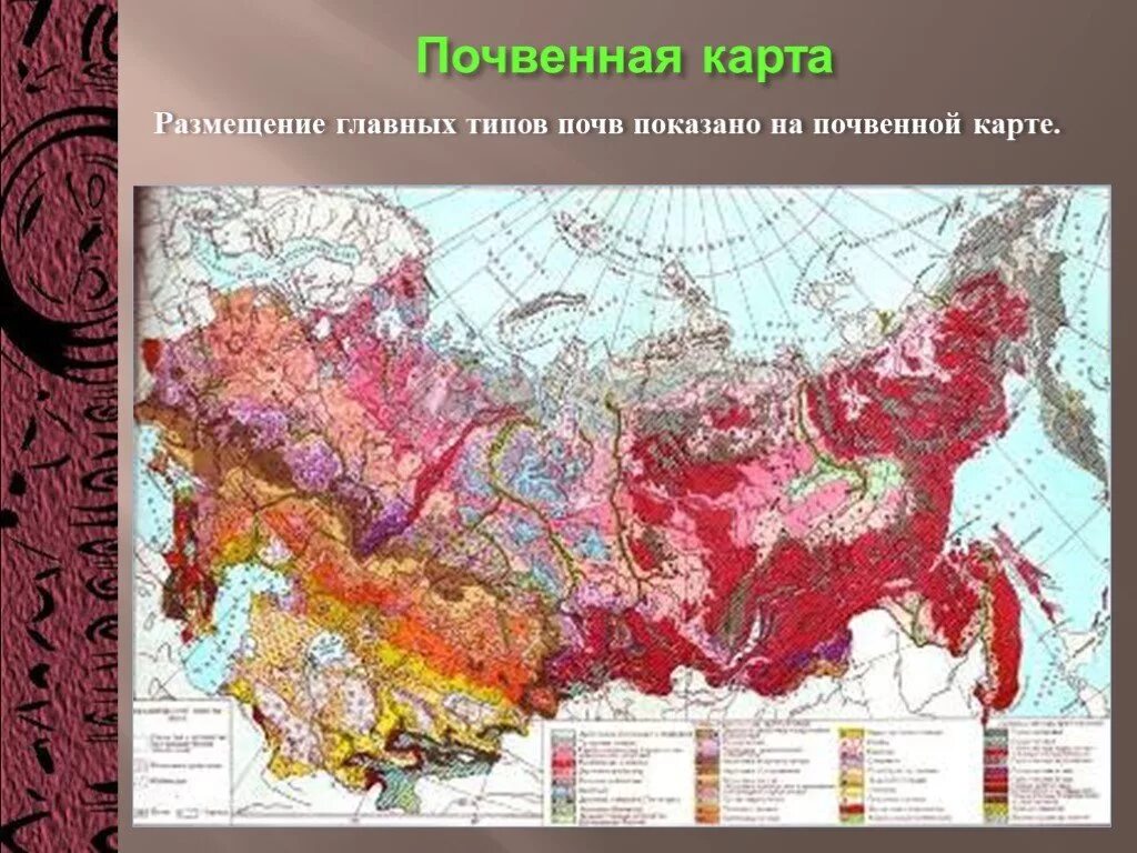 Лучшие почвы россии. Карта почв России. Почвенная карта России атлас. Карта плодородия почв РФ. Карта плодородности почв России.