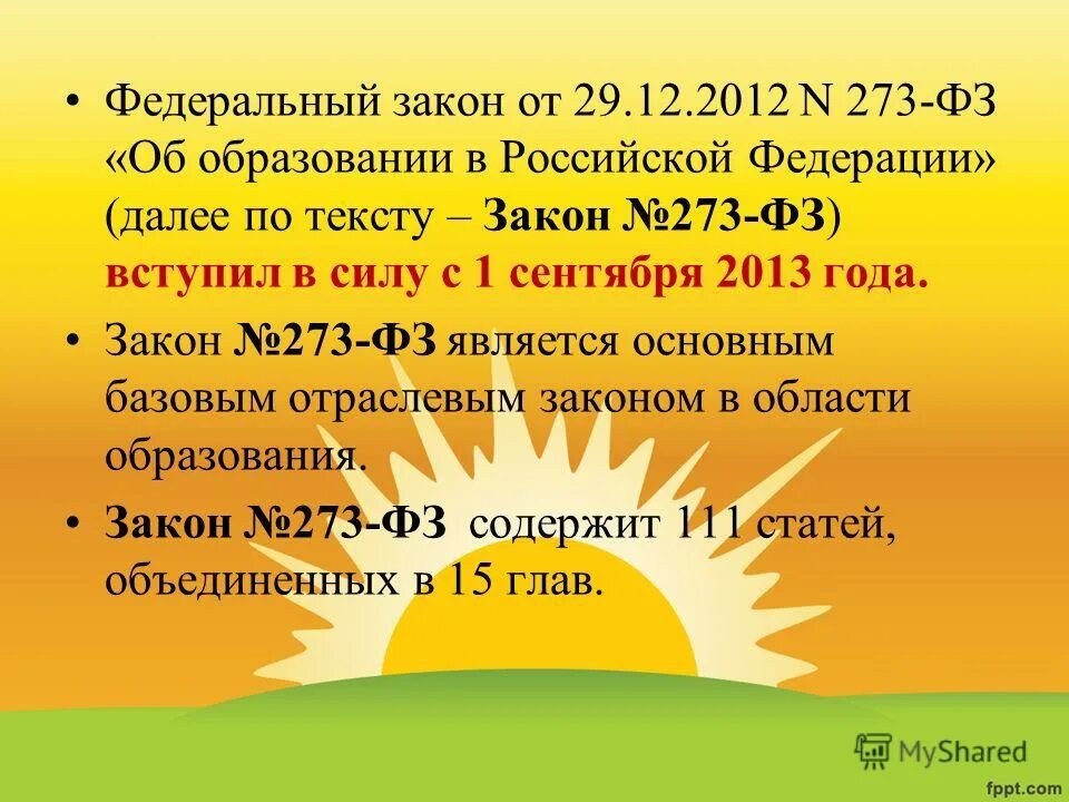 Статья 8 фз 273