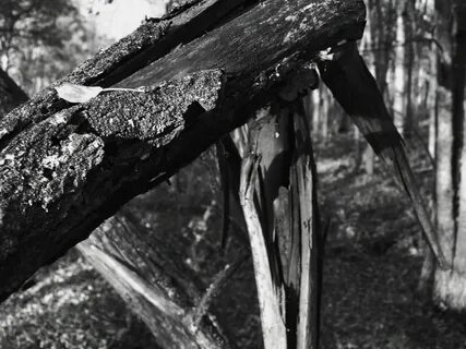 Broken wooden