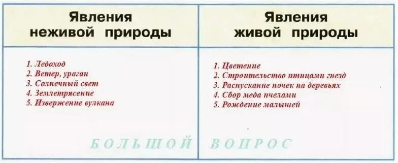 Примеры весенних явлений живой природы 2 класс. Явления неживой природы явления живой природы. Явления неживой природы 2 класс окружающий мир. Явления неживой природы явления живой природы 2 класс окружающий мир. Таблица явления неживой природы явления живой природы.