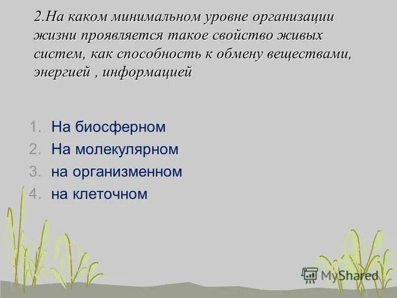 Минимальный уровень организации жизни. Минимальный уровень организации жизни
