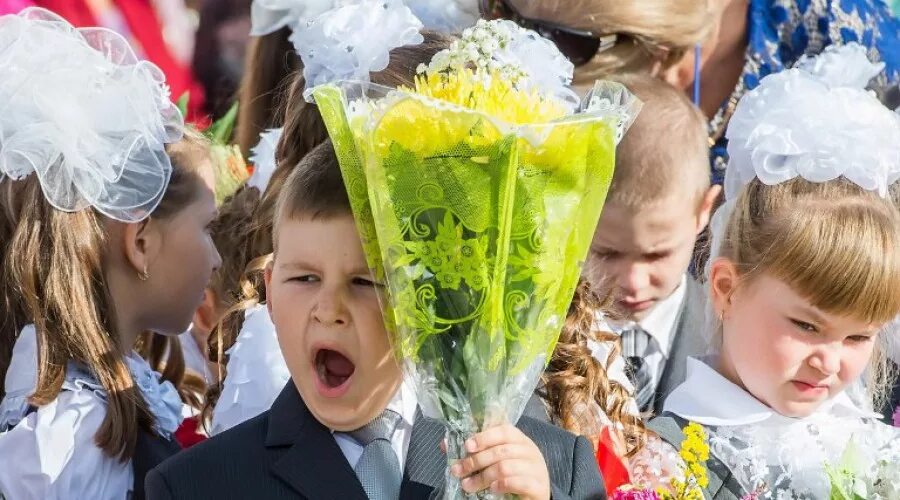 Средние школы малоярославец. Школа 1 малоярославец. школа 4 малоярославец. гимназия малоярославец. 5 школа малоярославец.