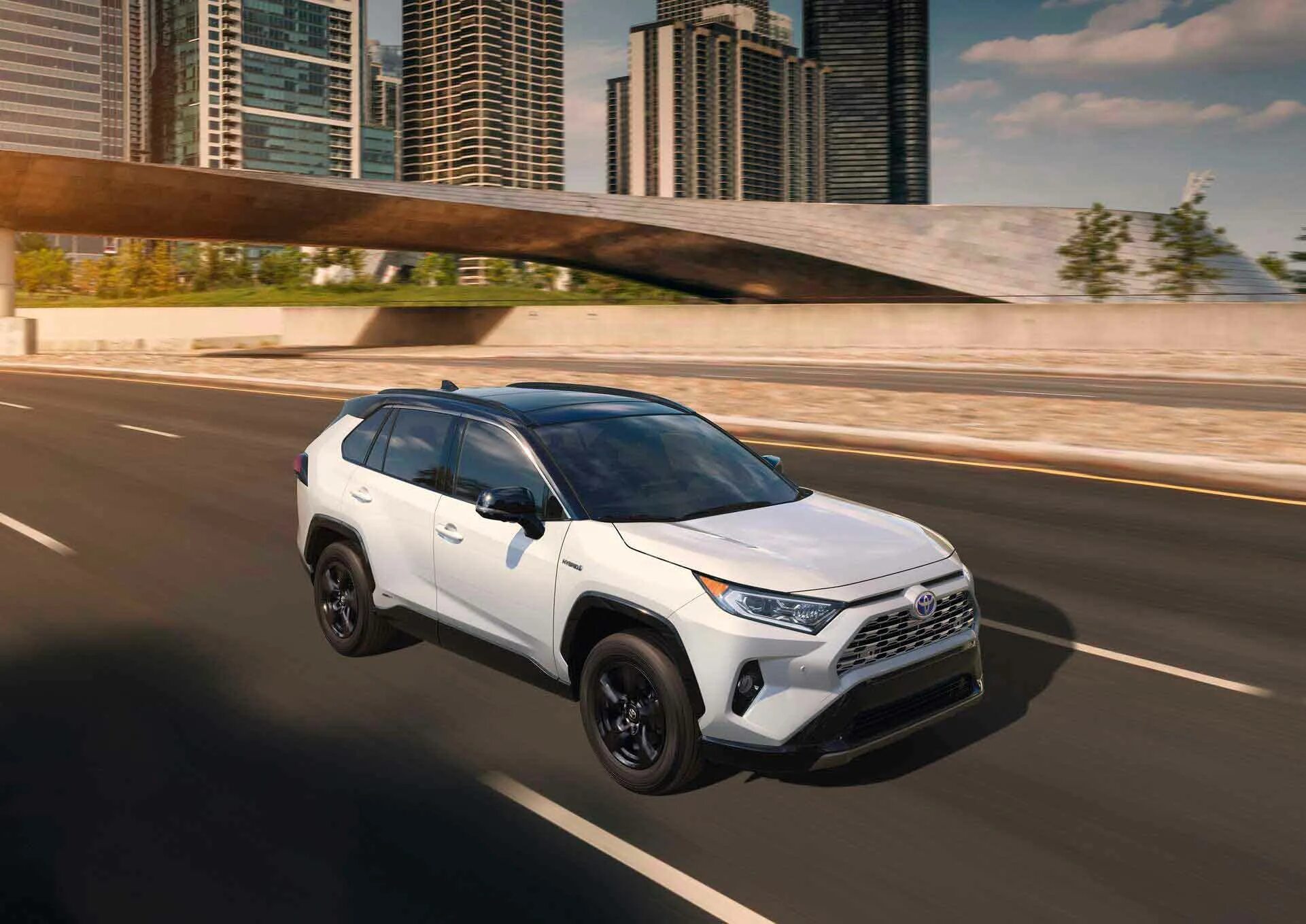 Тойота нового поколения. Toyota rav4 2019. Toyota rav4 2020. Toyota rav4 новый. Toyota RAV 2019.