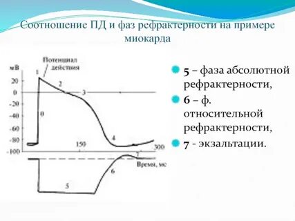 Абсолютная рефрактерность