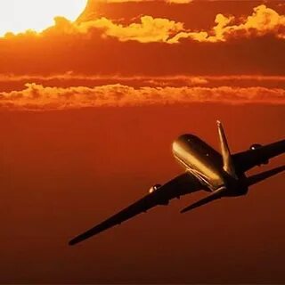 The plane leaves has left