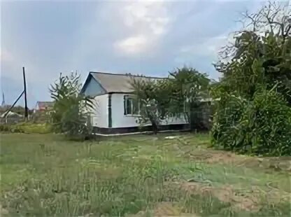 Погода куликовский волгоградская область