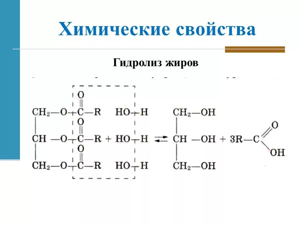 Свойства жиров гидролиз. Щелочной гидролиз омыление жиров. Химические свойства жиров. Химические свойства жиров гидролиз. Гидролиз жира.