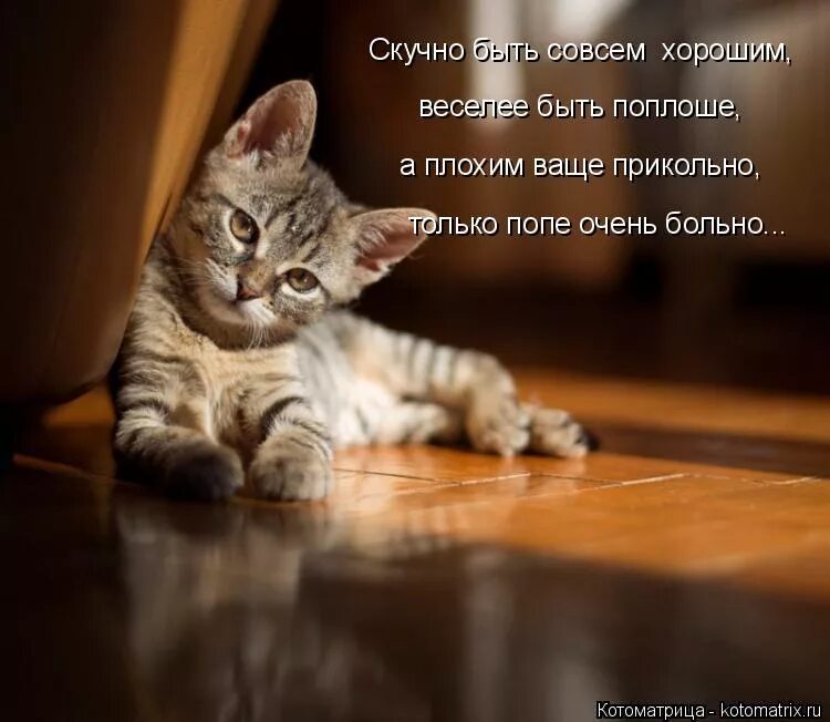 Совсем ни хорошо