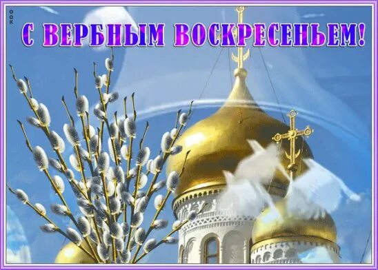 С вербным воскресеньем анимация. Поздравление с вербным воскресеньем. Гифки вербное воскресенье новые красивые. Открытка с вербным воскре. Открытки с верным воскресенье.