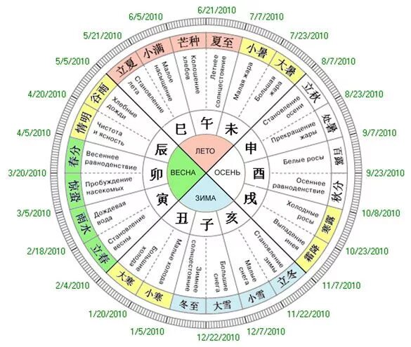 Биологические часы организма человека по часам. Года китайского гороскопа. Символы восточного календаря. Круг усин по часам активности меридианов. Китайский зодиак.