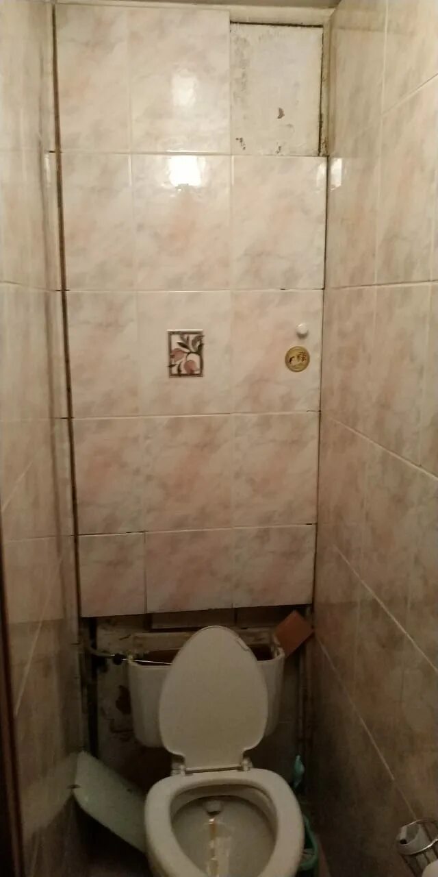 Задняя стенка туалета фото Отделка в Кунгуре