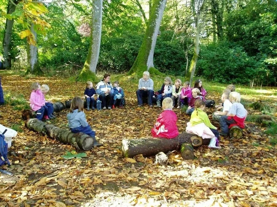 Waldkindergarten Лесные детские сады из Германии. Экскурсия в саду. Экскурсия на природу. Дети на экскурсии на природе.