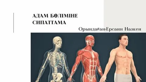 Үлкен қызғылт клитор порно