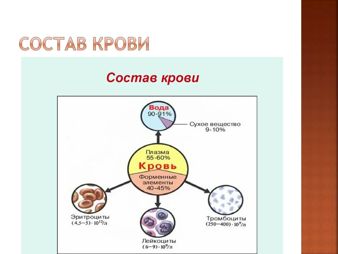 Состав крови физиология. Биохимический состав крови схема. Составляющие крови человека. Схема состав крови 8 класс биология. Определение количественного и качественного состава крови