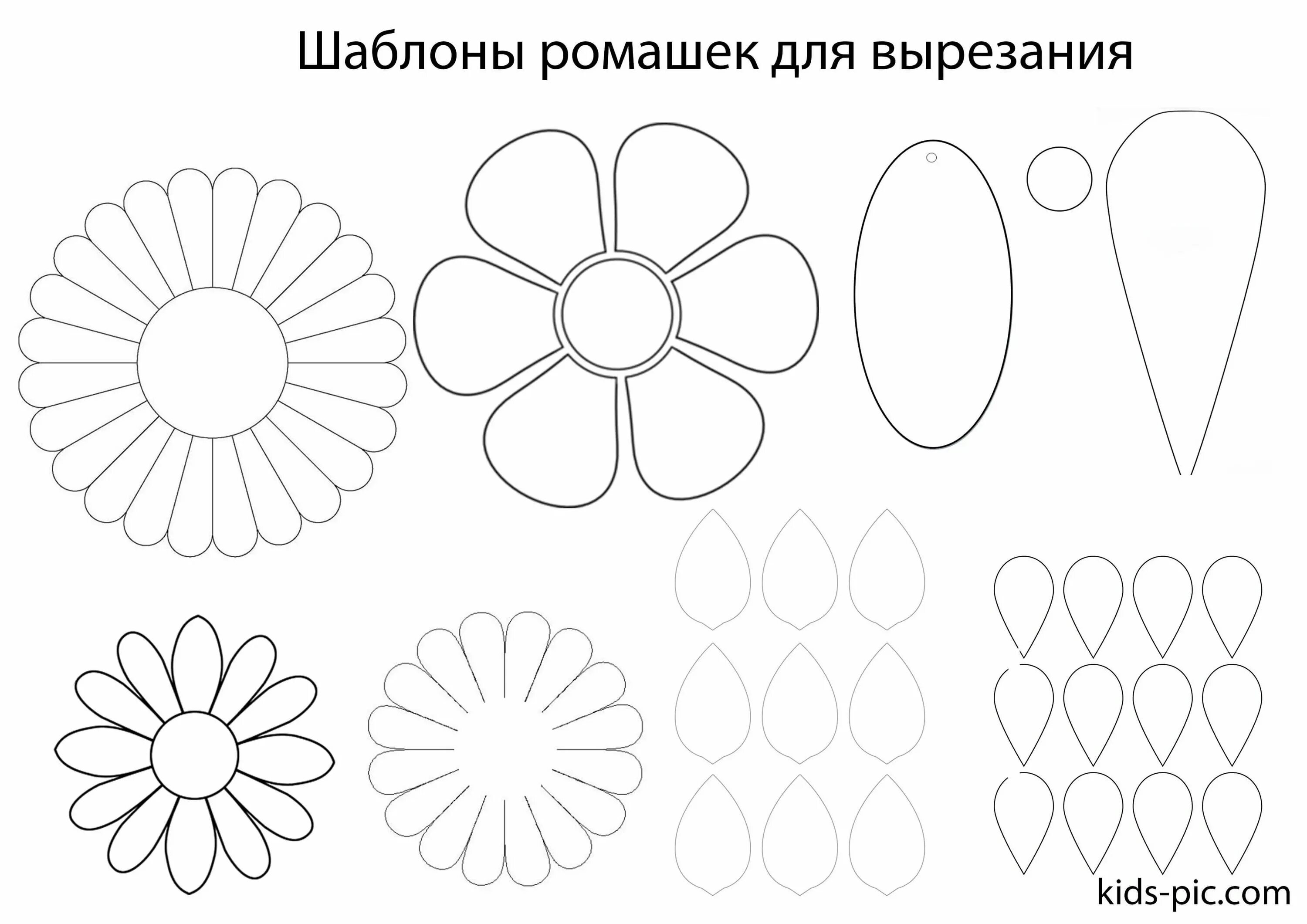 Сделать лепестки ромашки. Цветок Ромашка шаблон для вырезания. Трафареты цветов для поделок. Заготовки для бумажных цветов. Трафарет ромашки для вырезания из бумаги.