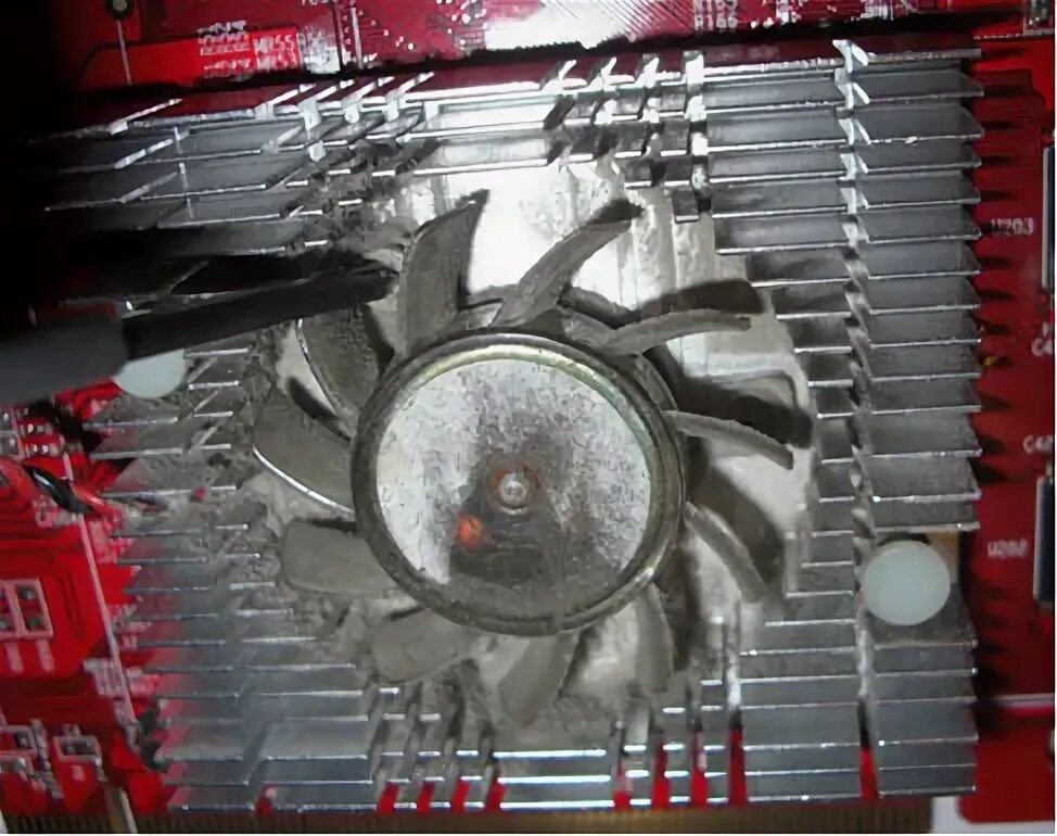 Сильно шумит кулер видеокарты. Сильно шумит кулер видеокарты. Сильно шумит кулер видеокарты. Сильно шумит кулер видеокарты. Сильно шумит кулер видеокарты.