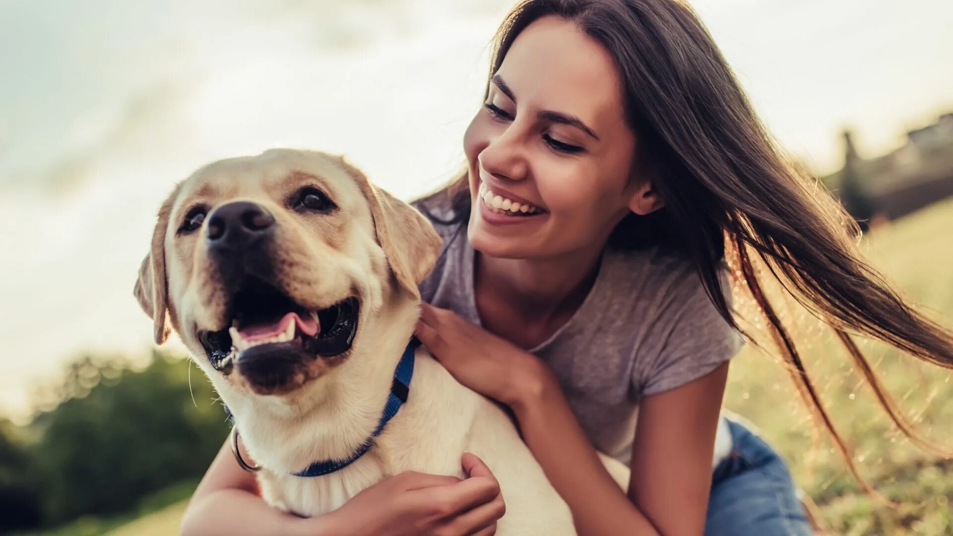 Pets википедия. Хозяин собаки. Счастливая собака. Счастливый человек с собакой. Счастливая собака с хозяином.