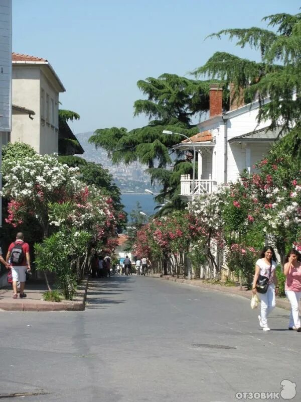 Принцевы острова в стамбуле фото Prince Islands, Istanbul Istanbul, Great pictures, Voyage