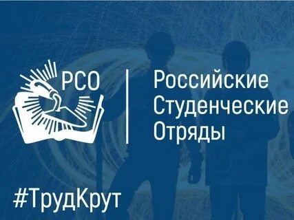 Почему студенческие отряды выбрали слоган труд крут