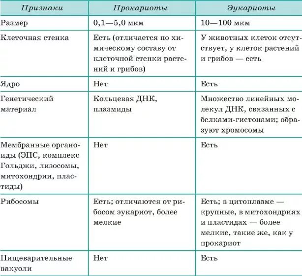 Эукариоты сравнение. Сравнение клеток прокариот и эукариот таблица. Сравнение клеток прокариот и эукариот 9 класс. Строение эукариотических клеток таблица. Сравнение клеток прокариот и эукариот таблица 9 класс.