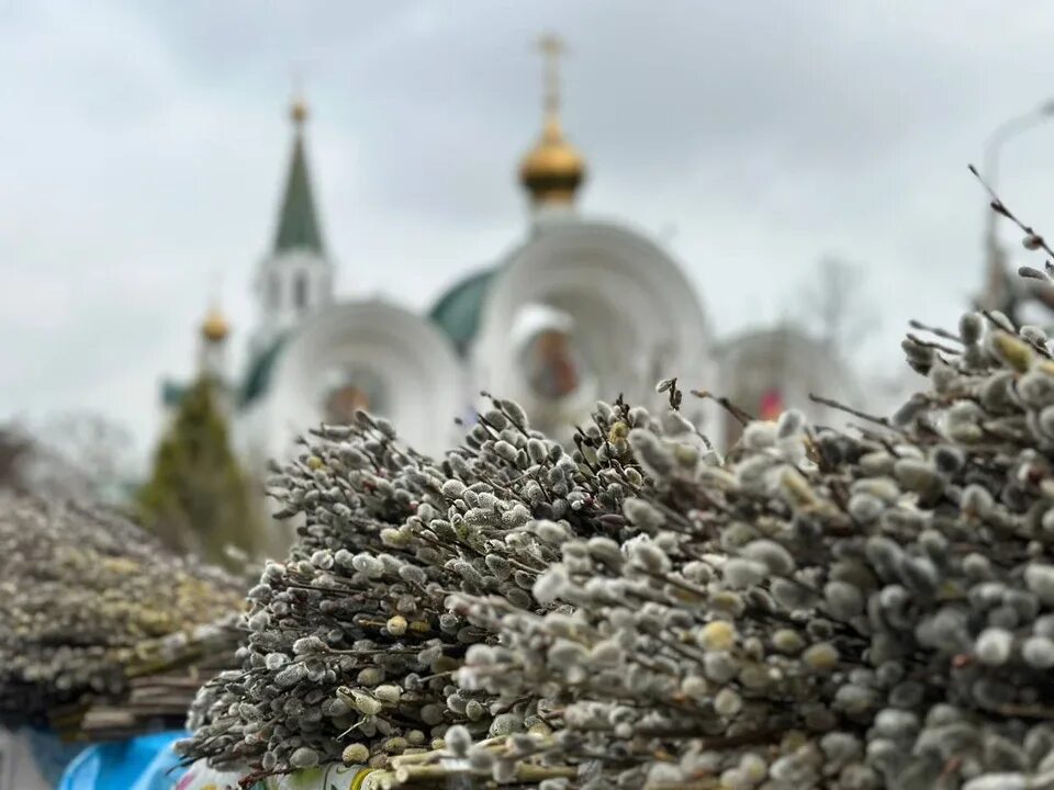 Значение вербного воскресения в православии