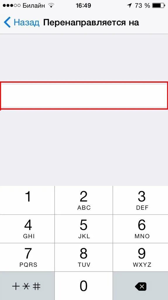 Удалить переадресацию. ПЕРЕАДРЕСАЦИЯ на айфоне. ПЕРЕАДРЕСАЦИЯ iphone на иностранные номера. ПЕРЕАДРЕСАЦИЯ номера на айфоне.