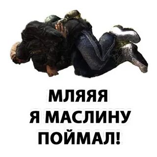 Маслину поймал
