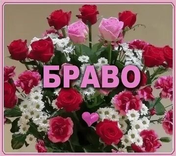 Открытый браво