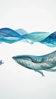 Киты волна