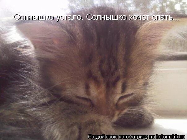 Устала солнышко