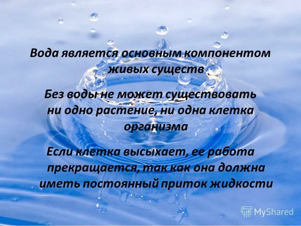 Вода является недрами. Закон о недрах основные положения. Гигиена воды презентация. Закон рф "о недрах" от 21. 1992 n 2395-1.